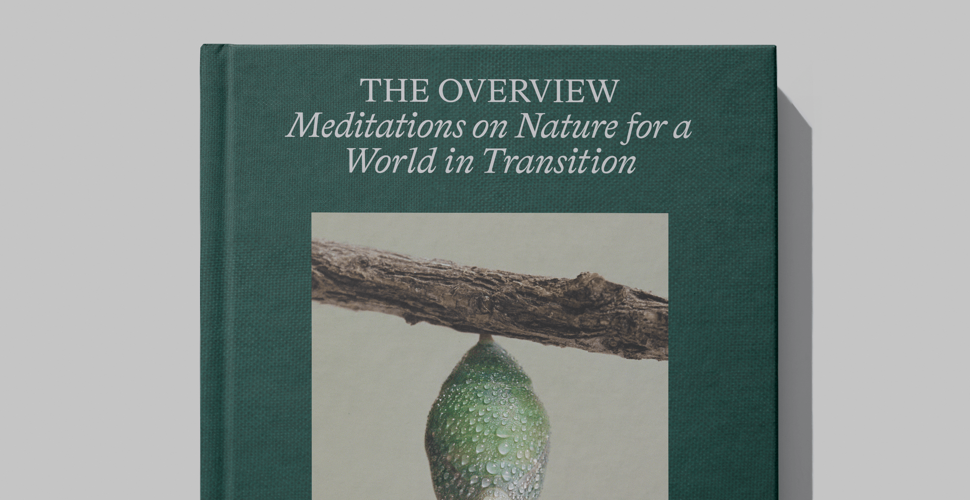 Book design for The Overview by Willow Defebaugh.